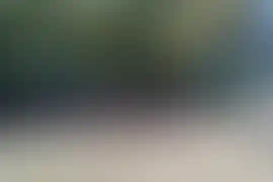 مهدی خدابنده