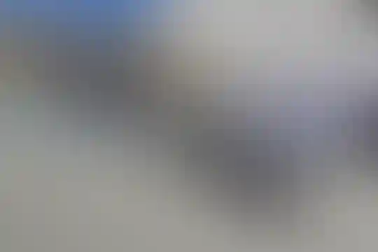 سعدی