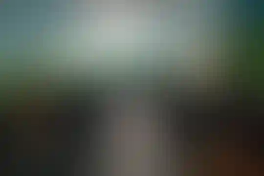 میرزا کوچک خان