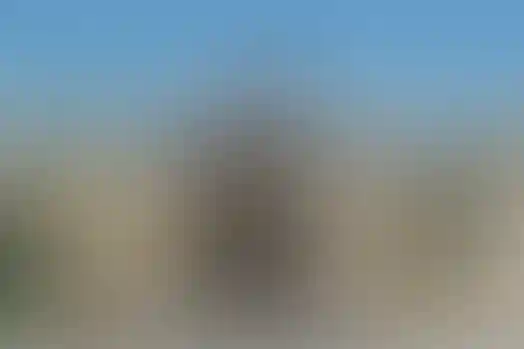 امام رضا واحد 3