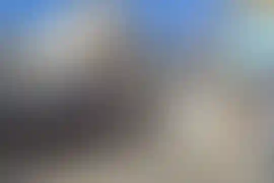 مولوی
