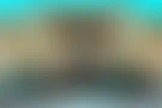 امام رضا واحد 4