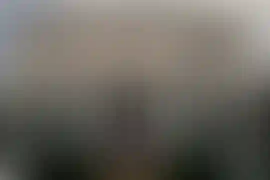 فرهنگ مهشید مصلی نژاد