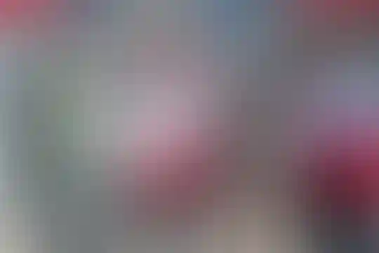 جابر بن حیان