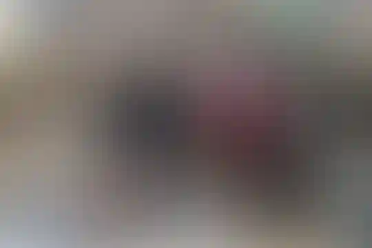 جابر بن حیان