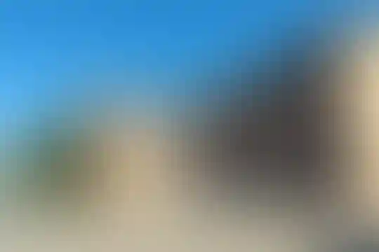 شهدای 29 آبان