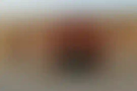 ائمه مظلوم بقیع