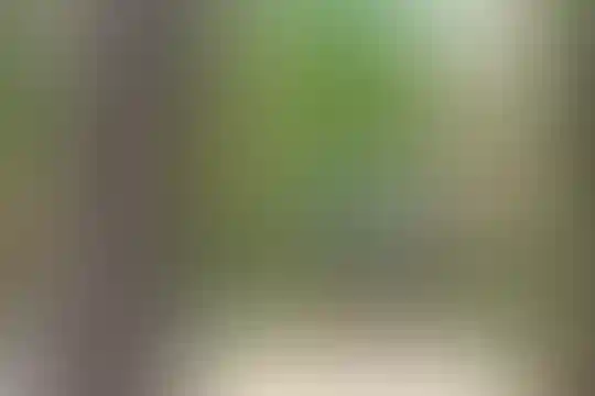 آل محمد