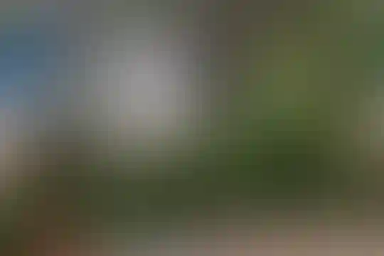 آل محمد