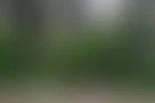 آل محمد