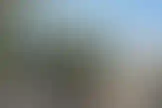شهید مدنی