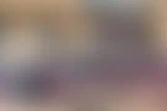 منتظران مهدی