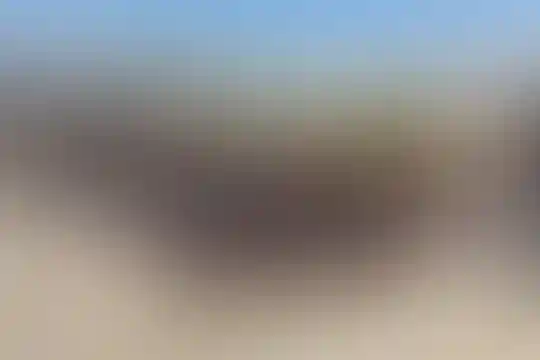 منتظران مهدی