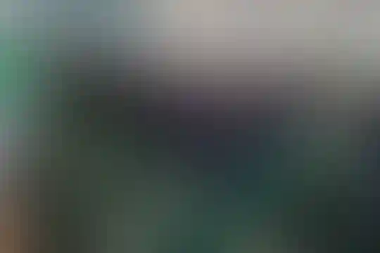 شهید محمدی