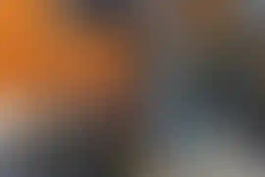 شهید محمدی