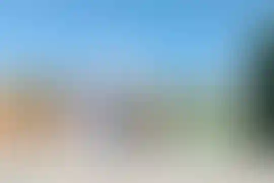 شهید محمدی