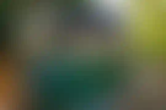 جمال