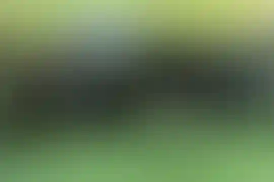 امام مهدی