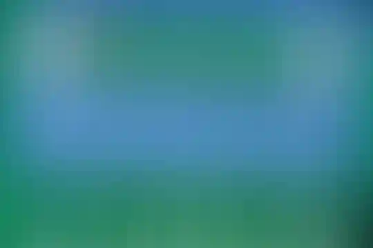 شهید علیرضا محمدبیگی
