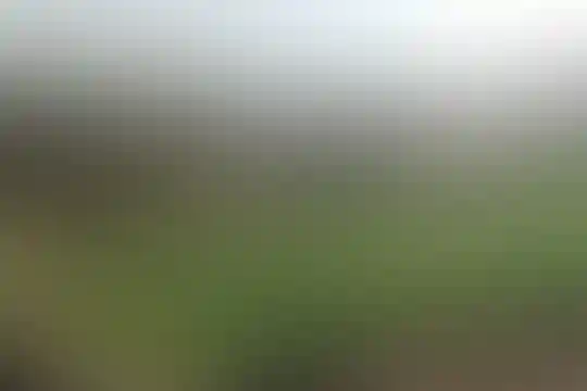 شهید علیرضا محمدبیگی
