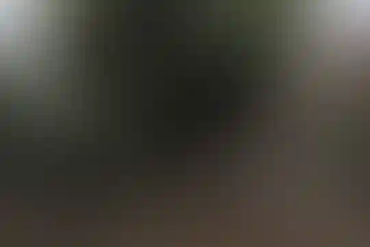 بقیه الله الاعظم