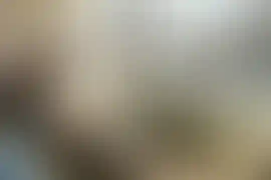 شهید صمدپور ابراهیمی یکه توت 