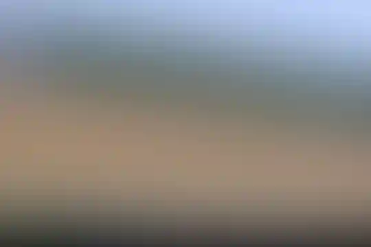 شهید مجید مرشد