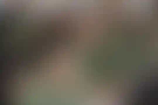 دهخدا