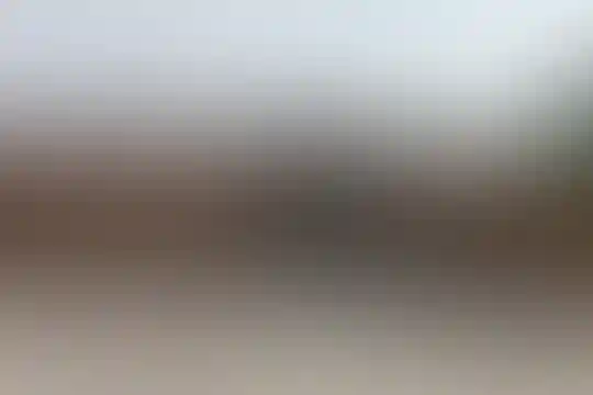 نور تلوری