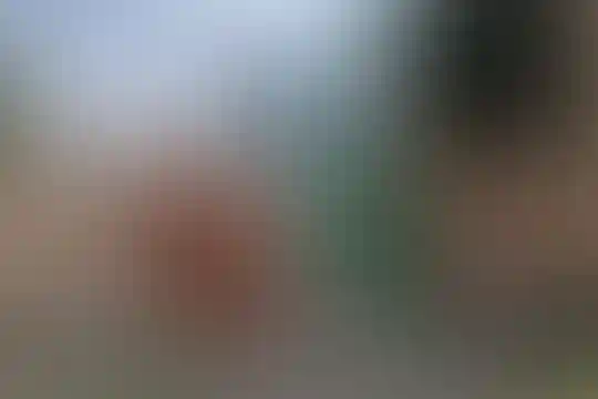 نور تلوری