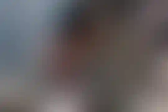 شهداء 34