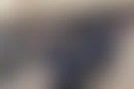 شهداء 34