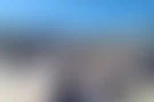 ولیعصر شاردر