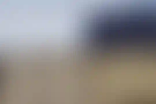 علی ابن ابیطالب