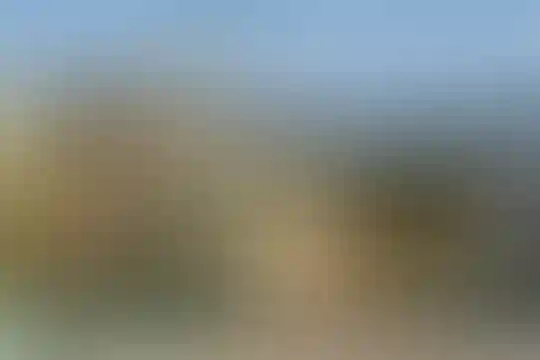 فرزانگان