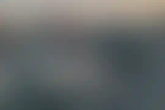 فرزانگان