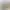 نظم اجتماعی: رعایت رفتار درست و آرامش در مکان‌های عمومی.