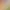 نمایش تصویری کسرها
