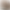 کاربرد فسیل در اکتشاف نفت و گاز: استفاده از فسیل‌ها برای شناسایی لایه‌های مناسب تشکیل سوخت‌ها