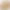 فسیل صدف: اثری از پوسته سخت جانداران دریایی