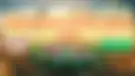 بررسی تشکیل دانه گرده، کیسه رویانی و ساختار مادگی